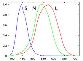 Normalisovannie spektri tshustvitelnosti kolbohek S,L,M.jpg