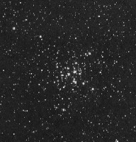 Messier36.jpg