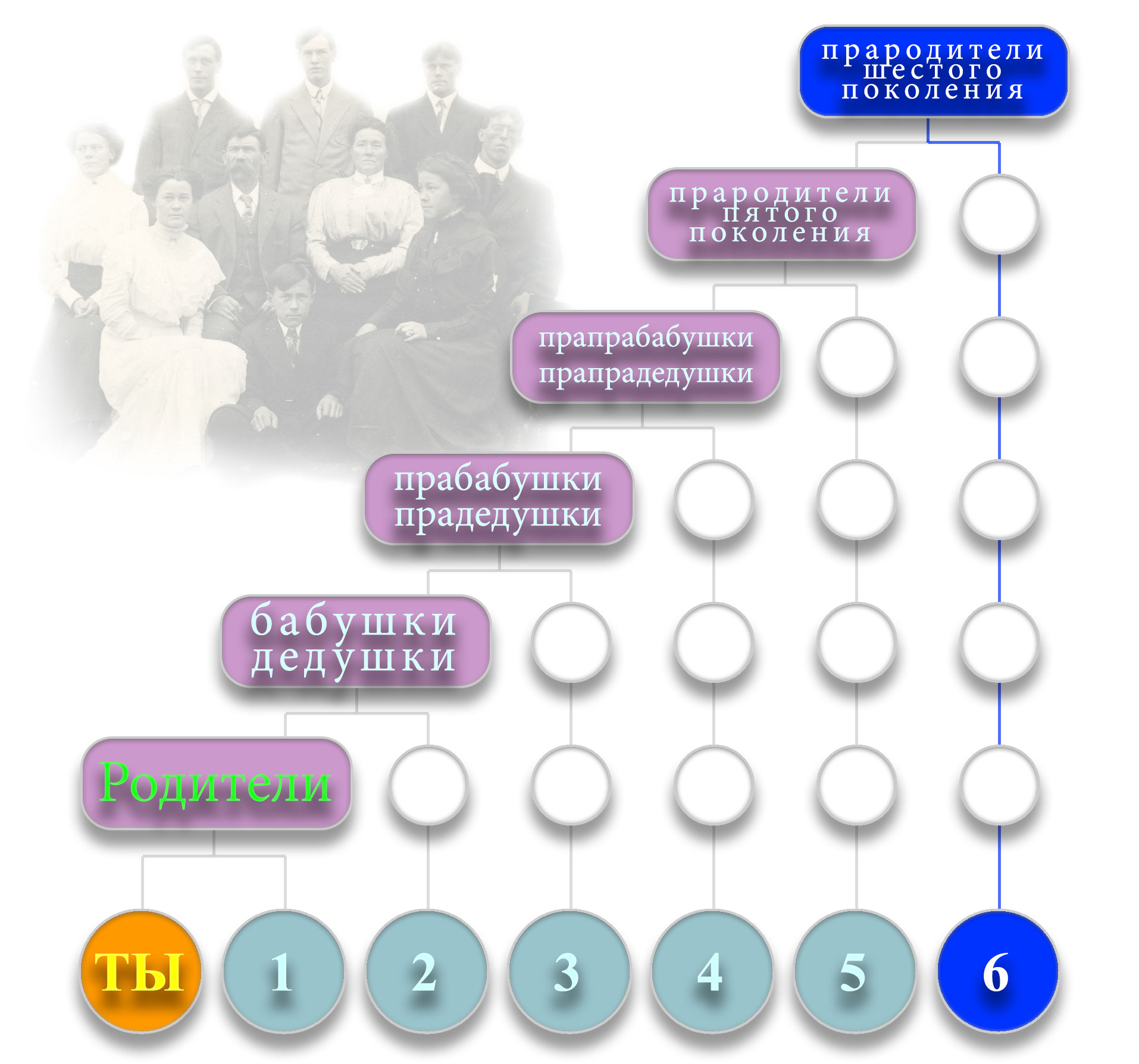 Сколько дедушек 1 2 3. Прабабушка это какое поколение. Прапрабабушка это какое поколение. Степень родства ДНК. Родство к прабабушки.