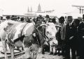 I. Reichsnährstand-Ausstellung Erfurt 1934 5.jpg