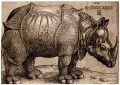 Albrecht Dürer (64).jpg
