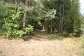 Вид с лесной дороги на братскую могилу в Крапивинском лесу Ульяновского района калужской области.JPG