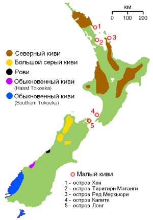 NZ-kiwimap ru.PNG