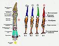 Миниатюра для версии от 21:48, 10 октября 2011