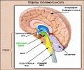 Миниатюра для версии от 20:03, 17 января 2016