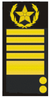 Russia-navy-sleeve 12.gif