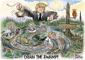 Drain the swamp ben garrison.jpg