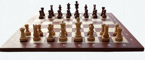 Общий вид шахмат